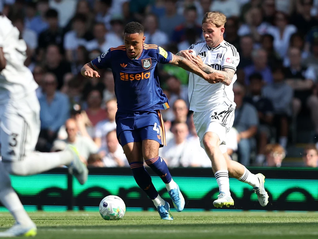 Newcastle dan Fulham